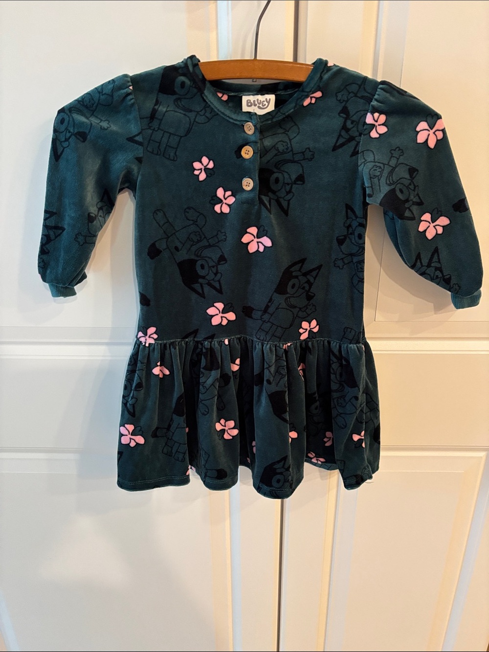 Bluey Green Velvet Dress with Pink Floral Accents